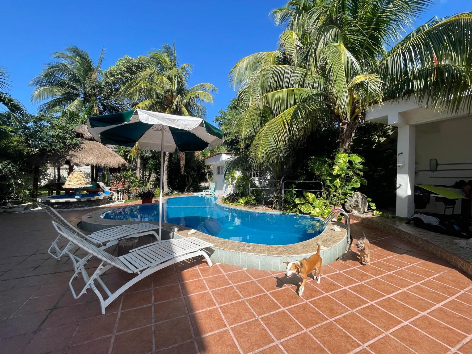 Casamaya 848 Cozumel